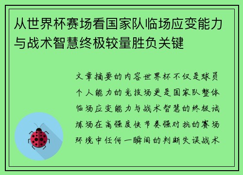 从世界杯赛场看国家队临场应变能力与战术智慧终极较量胜负关键