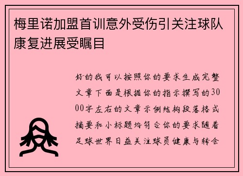 梅里诺加盟首训意外受伤引关注球队康复进展受瞩目